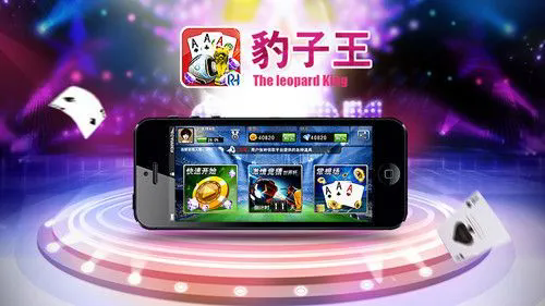 全民豹子王