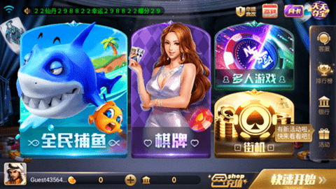 850豪华版手机版app手游